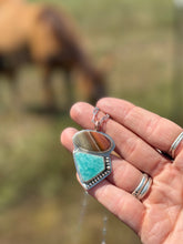 Load image into Gallery viewer, *RTS* “Zion National Park”