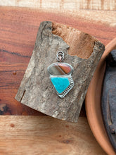 Load image into Gallery viewer, *RTS* “Zion National Park”