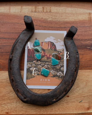 *RTS* “Zion National Park”