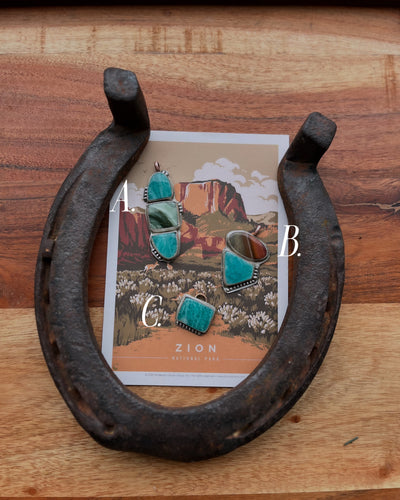 *RTS* “Zion National Park”